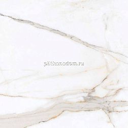 Primavera PR103 Regal Carara Polished Керамогранит 60x60 см