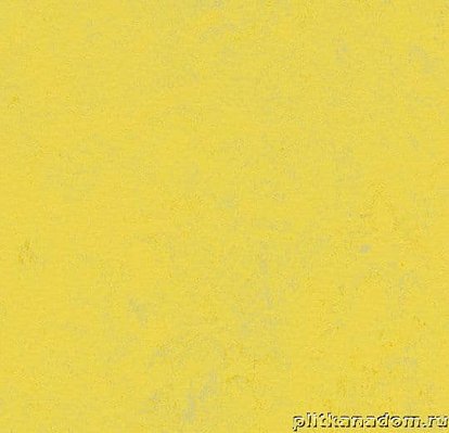 Forbo Marmoleum Concrete 3741-374135 yellow glow Линолеум натуральный 2,5 мм