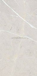 NT Ceramic Bright And Shiny BB612NTT9101 Серый Полированный Ректифицированный Керамогранит 60х120 см