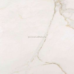 Stylnul (STN Ceramica) Lancelot Gold Белый Матовый Ректифицированный Керамогранит 60х60 см