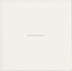 Dar Ceramics Liso Blanco Brillo Настенная плитка 10х10 см