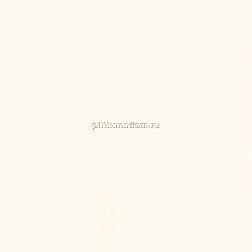 Paradyz Gamma Biala-Bianco Glossy Настенная плитка 19,8х19,8 см