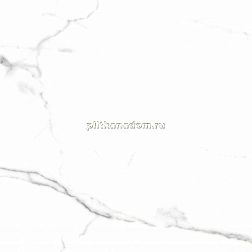Primavera PR107 Salvatore Polished Керамогранит 60x60 см