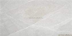 Stylnul (STN Ceramica) Tango Grey Satin Rect Серый Сатинированный Керамогранит 59,5x120 см