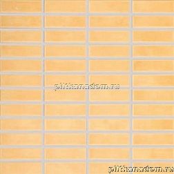 Rako Tulip GDMAJ007 Мозаика (2,5x7,5) 30x30 см