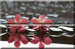Absolut Keramika Aure Wellness Red 02 Панно 30х45 (2 шт.) см