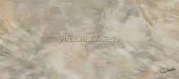 Roberto Cavalli Brightpearl Bronze Firma Rett Декор 80х180 см