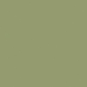 Шахтинская плитка Моноколор 01 Керамогранит зеленый 40х40 см