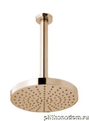 Webert Shower Set AC0940980METAL Верхний душ с кронштейном, стальной (розовое золото)
