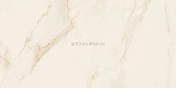 Paradyz Bliss Gold Pol. Бежевая Полированная Настенная плитка 30x60 см