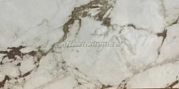 Absolut Gres Calacatta Bronze AB 1098M Коричневый Матовый Керамогранит 60x120 см