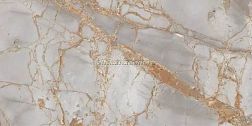 Primavera PR212 Golden Grey Polished Керамогранит 60x120 см