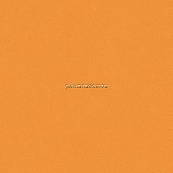 Bardelli Colore&Colore С2 Настенная плитка 10x10 см