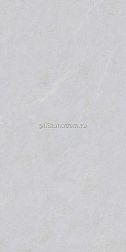 Basconi Home Cateye Light Grey Soft Polished Grains Mould Серый Полированный Керамогранит 60x120 см