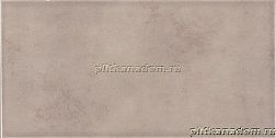 Rako Tulip WATMB022 Wall tile Настенная плитка 20x40 см