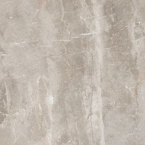 Lеopard Rock Carving Gris Керамогранит 60х60 см