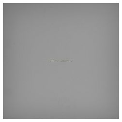Casalgrande Padana Unicolore Grigio Mosca Naturale Керамогранит 30х60 см
