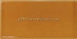 Equipe Evolution 22466 Amber Настенная плитка 7,5x15 см