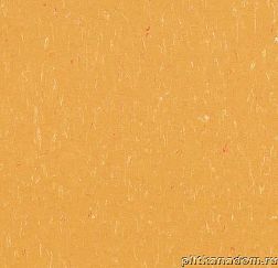 Forbo Marmoleum Piano 3622-362235 mellow yellow Линолеум натуральный 2,5 мм