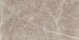 Usak Seramik Swindon Mocha Poliched Коричневый Глянцевый Керамогранит 60x120 см