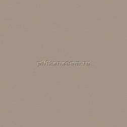 Casalgrande Padana Unicolore Grigio Perla Tozzetto Levigato Вставка 9х9 см