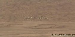 Paradyz Amiche Brown Плитка настенная 30x60 см