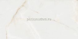 Pamesa Ceramica Fenix Perla Серый Полированный Керамогранит 60x120 см