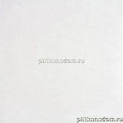 Rako Concept Plus DAA44599 Floor tile Напольная плитка 45x45 см