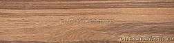 Rako Board DAKVF143 Floor tile Керамогранит 30x120 см