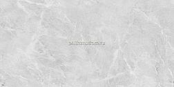 Neodom Belvedere Eva Grey Polished Серый Полированный Керамогранит 60х120 см