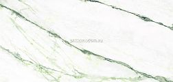 Museum Matcha Green Ep Зеленый Полированный Керамогранит 60х120 см