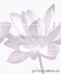 Cerrol Imperia Lila Панно (из 3-х штук) 60x50 см