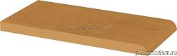 Paradyz Aquarius Brown Parapet 20x10x1,1 см