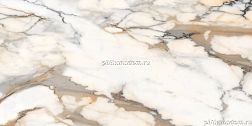 Magnifica Venecia Oro Plus R Керамогранит 60x120 см