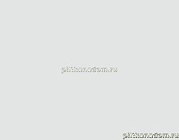 Rako Concept Plus WAAKB012 Wall tile Настенная плитка 25x33 см