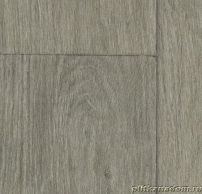 Forbo Surestep Wood 18832 grey oak Линолеум 2 м