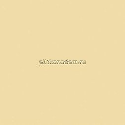 Paradyz Gamma Bezowa Mat Настенная плитка 19,8х19,8 см