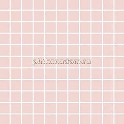 Meissen Trendy TY2O071  мозаика розовый Вставка 30х30 см