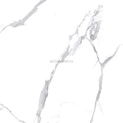 Ceradim Calacatta Splendid Silver Белый Полированный Керамогранит 80х80 см