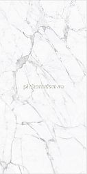 Gresant Statuario Fine Glossy R Белый Полированный Керамогранит 60х120 см