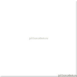 Absolut Keramika Raisin Monocolor Milano Blanco Brillo Настенная плитка 10х10 см