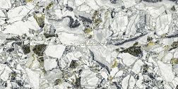 Atlas Concorde Russia Forte del Marmi Quark Ceppo Ap. Forest Lapp (610015000695) Серый Лаппатированный Керамогранит 80x160 см