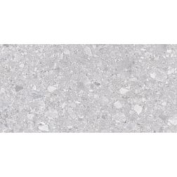 Laparet Matrix K952681R0001LPEP Светло-серый Матовый Керамогранит 60х120 см