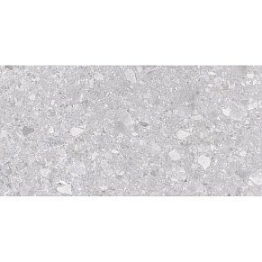 Laparet Matrix K952681R0001LPEP Светло-серый Матовый Керамогранит 60х120 см