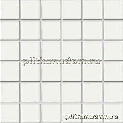 Rako Color Two GDM05023 Мозаика 5x5 30x30 см