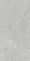 Ariostea Marmi Classici Gris de Savoie Luc Серый Полированный Керамогранит 120х60 см