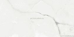 Absolut Gres Royal Grey Light Серый Полированный Керамогранит 60x120 см