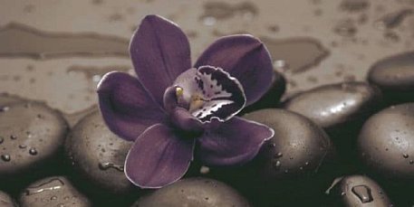 Fiore Ceramica Neos Dark orchid  Декор 25х50