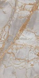 Primavera PR212 Golden Grey High glossy Керамогранит 60x120 см