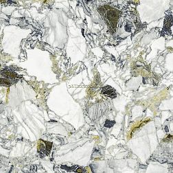 Atlas Concorde Russia Forte del Marmi Quark Ceppo Ap. Forest Rett (610010002971) Серый Матовый Керамогранит 80x80 см